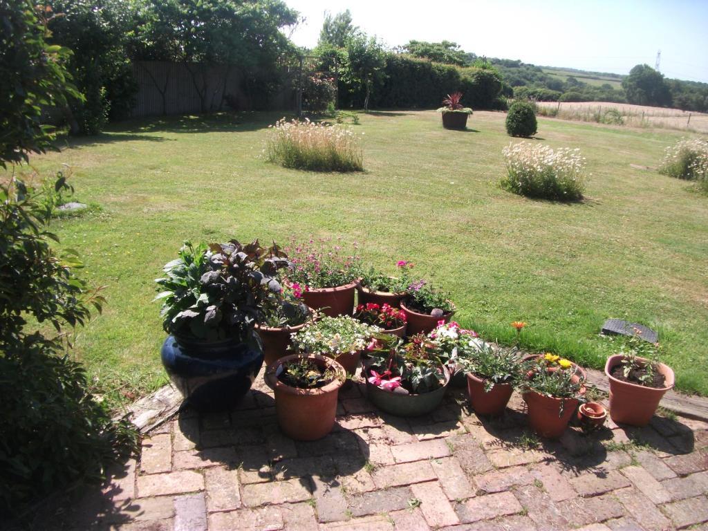 St Benedicts Byre B&B 크로우허스트 외부 사진
